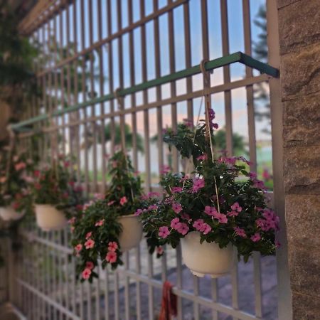 Nha Nghi Bonne Vie' Homestay カントー エクステリア 写真